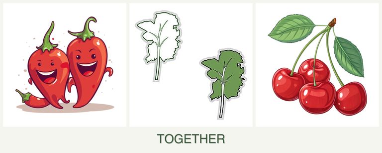 Can you plant peppers, kale and cherries together?