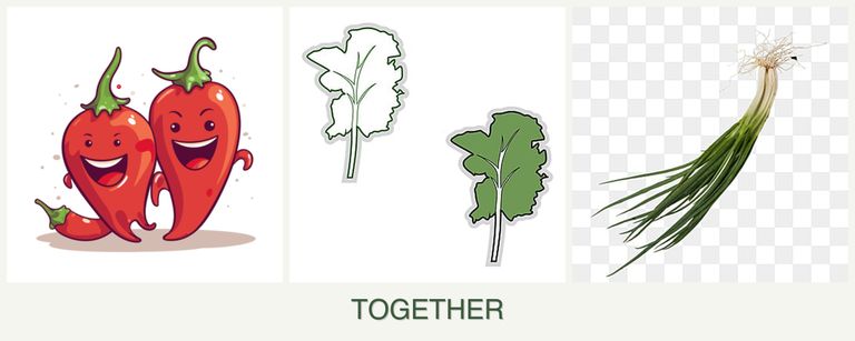 Can you plant peppers, kale and chives together?