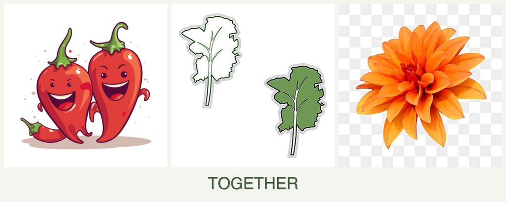 Can you plant peppers, kale and dahlias together?