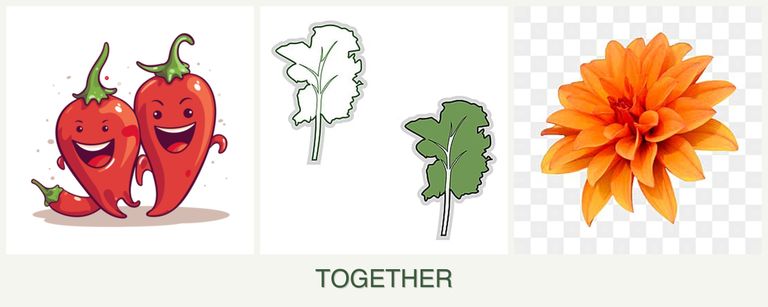 Can you plant peppers, kale and dahlias together?