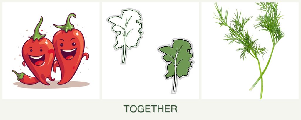 Can you plant peppers, kale and dill together?