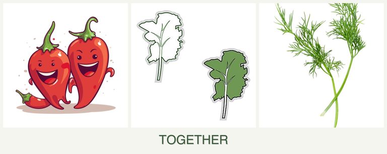 Can you plant peppers, kale and dill together?