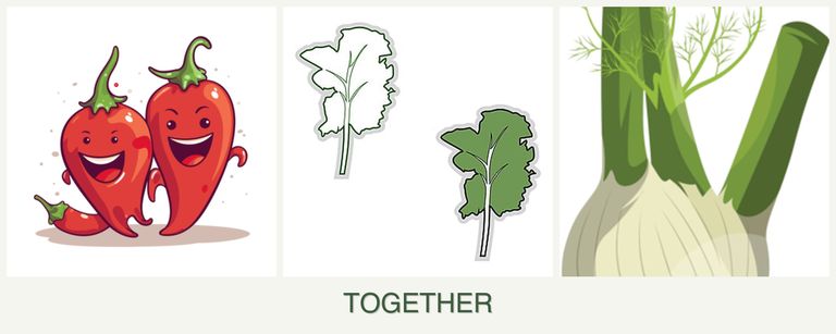 Can you plant peppers, kale and fennel together?