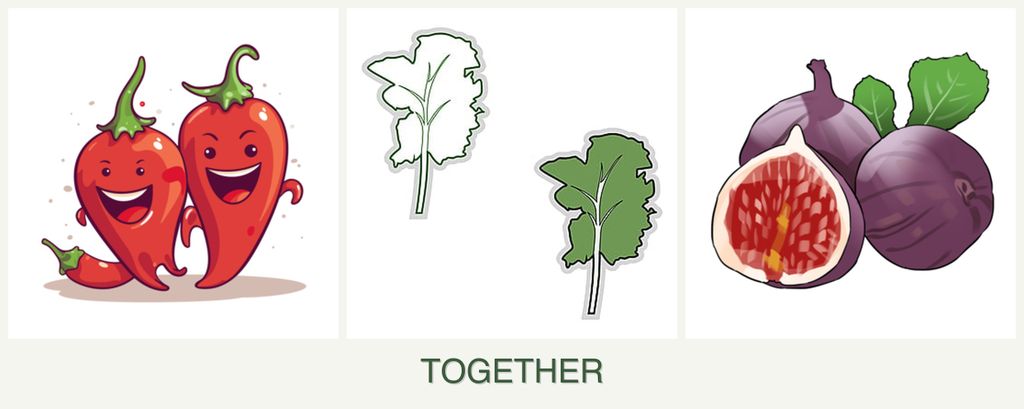 Can you plant peppers, kale and figs together?