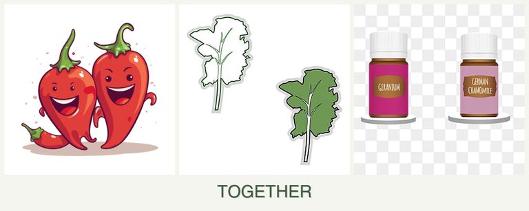 Can you plant peppers, kale and geraniums together?
