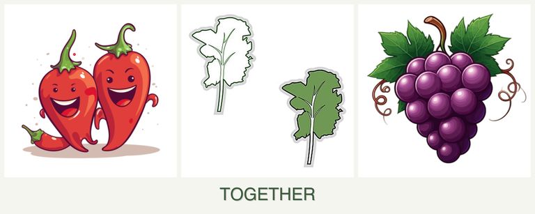 Can you plant peppers, kale and grapes together?