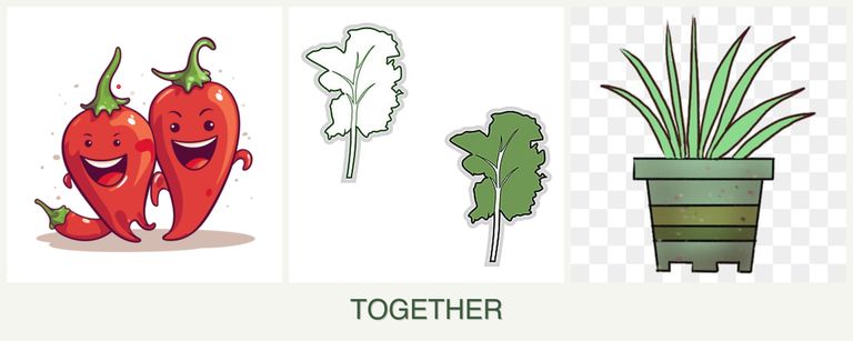 Can you plant peppers, kale and lemongrass together?
