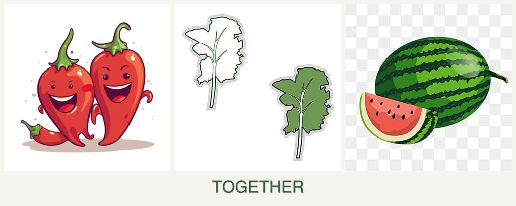 Can you plant peppers, kale and melons together?