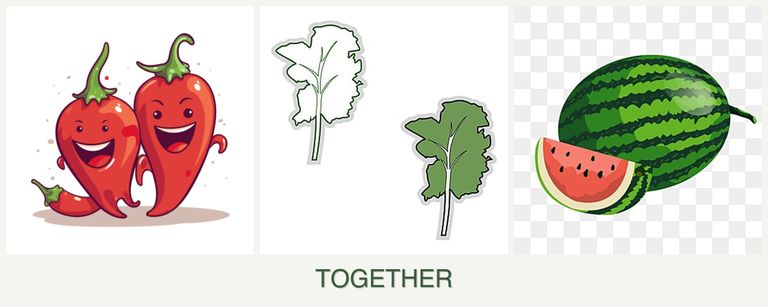 Can you plant peppers, kale and melons together?