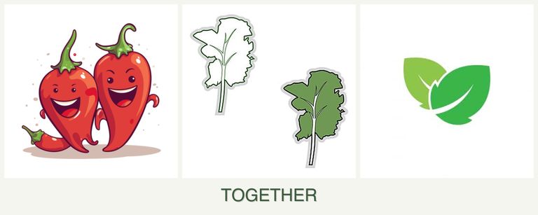 Can you plant peppers, kale and mint together?