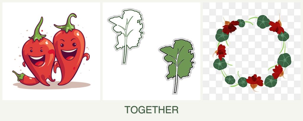 Can you plant peppers, kale and nasturtiums together?