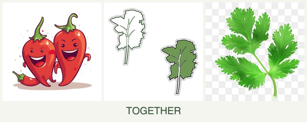 Can you plant peppers, kale and parsley together?