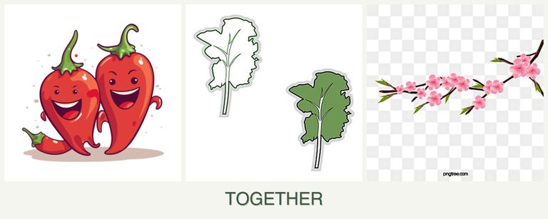 Can you plant peppers, kale and peaches together?
