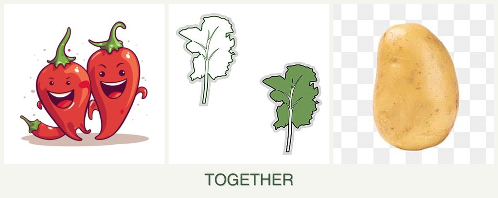 Can you plant peppers, kale and potatoes together?