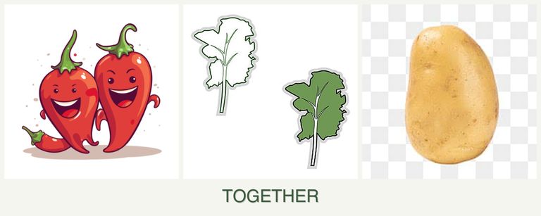 Can you plant peppers, kale and potatoes together?