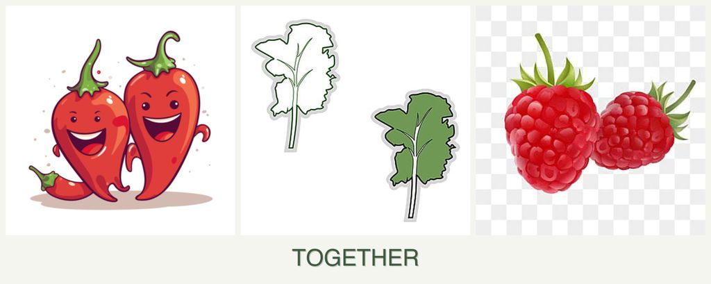 Can you plant peppers, kale and raspberries together?