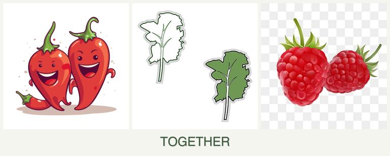 Can you plant peppers, kale and raspberries together?