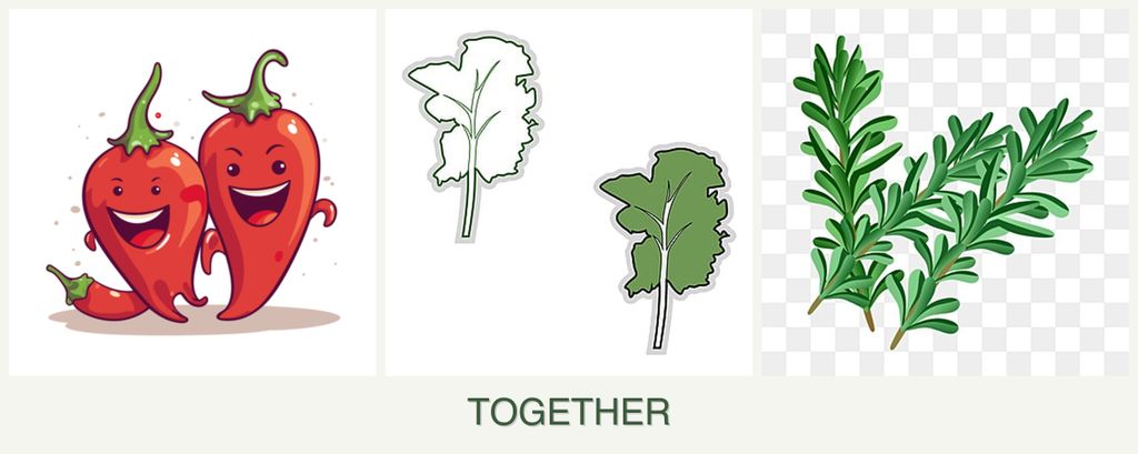 Can you plant peppers, kale and rosemary together?
