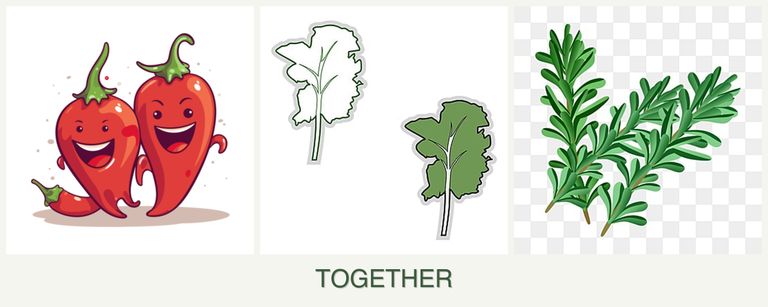 Can you plant peppers, kale and rosemary together?