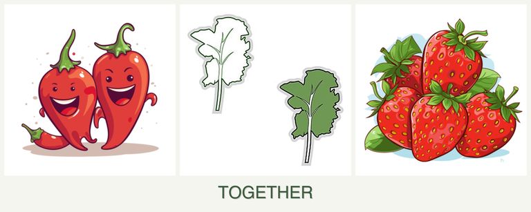 Can you plant peppers, kale and strawberries together?