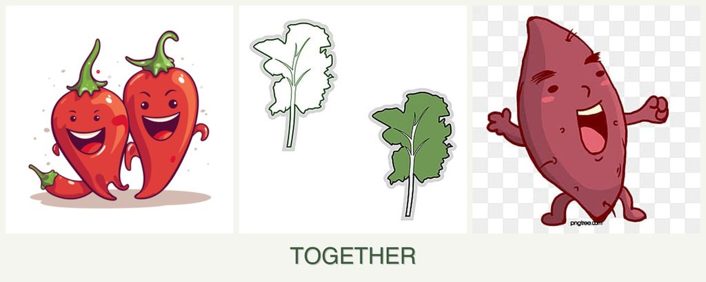 Can you plant peppers, kale and sweet potatoes together?