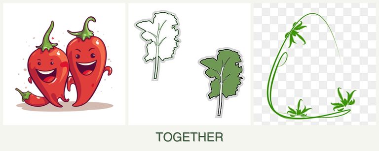 Can you plant peppers, kale and tarragon together?