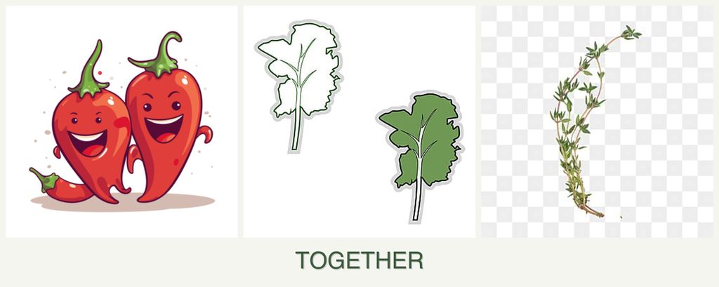 Can you plant peppers, kale and thyme together?