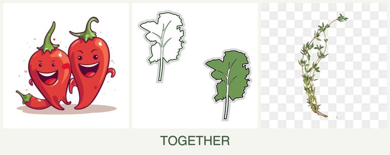 Can you plant peppers, kale and thyme together?