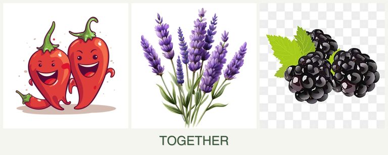 Can you plant peppers, lavender and blackberries together?
