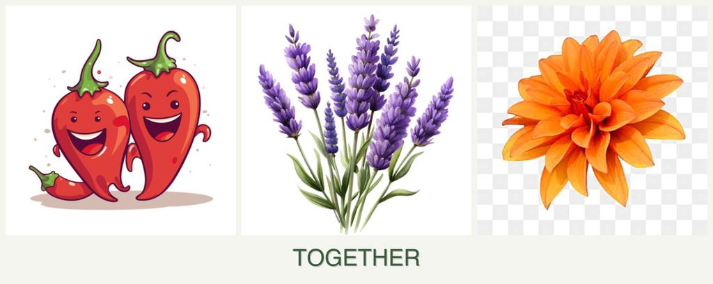 Can you plant peppers, lavender and dahlias together?