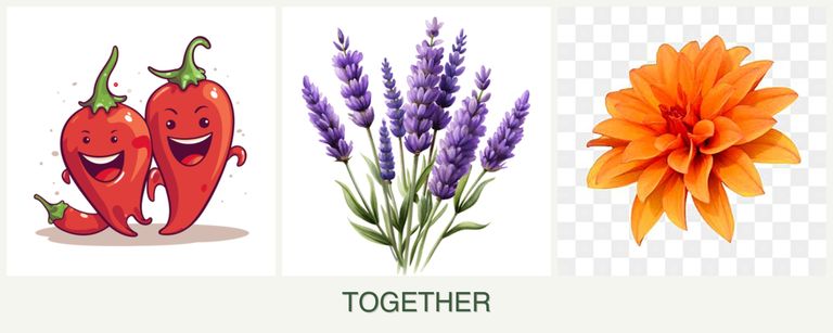 Can you plant peppers, lavender and dahlias together?