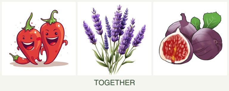 Can you plant peppers, lavender and figs together?