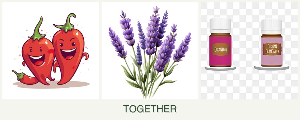 Can you plant peppers, lavender and geraniums together?