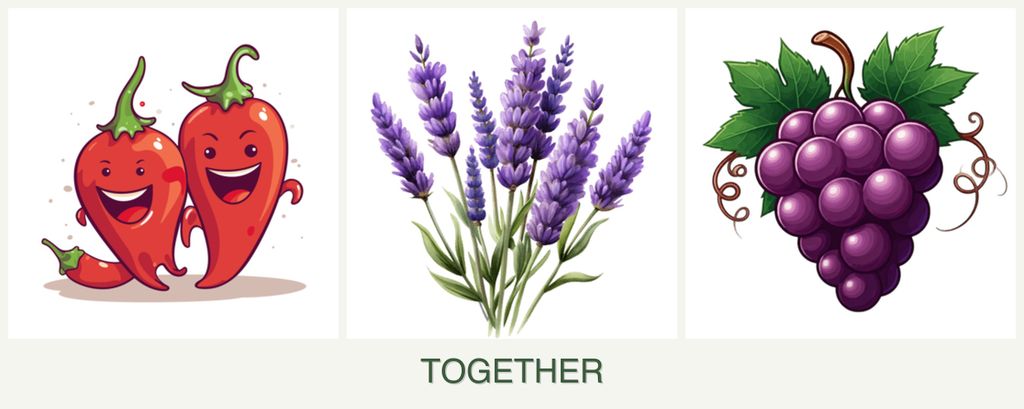 Can you plant peppers, lavender and grapes together?