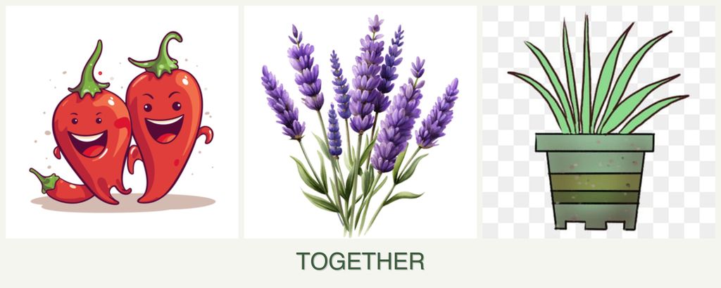 Can you plant peppers, lavender and lemongrass together?