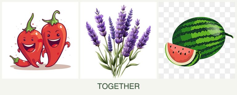 Can you plant peppers, lavender and melons together?