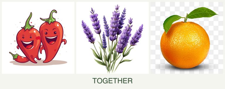 Can you plant peppers, lavender and oranges together?