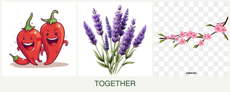 Can you plant peppers, lavender and peaches together?