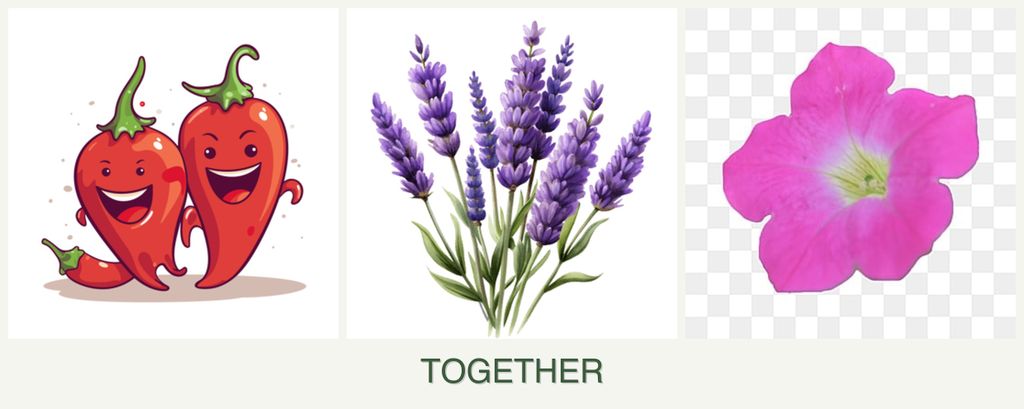 Can you plant peppers, lavender and petunias together?