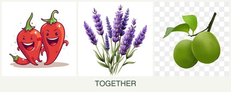 Can you plant peppers, lavender and plums together?