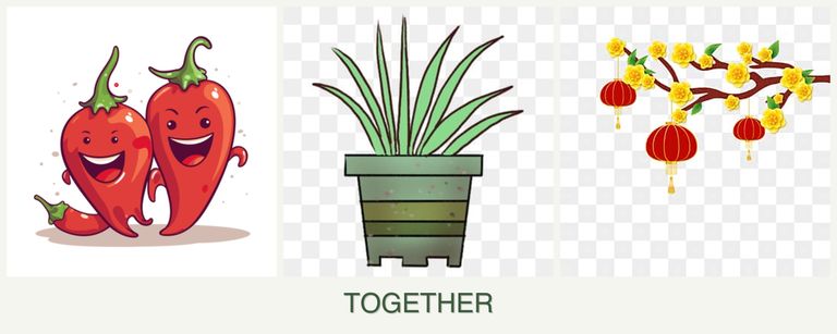 Can you plant peppers, lemongrass and apricots together?