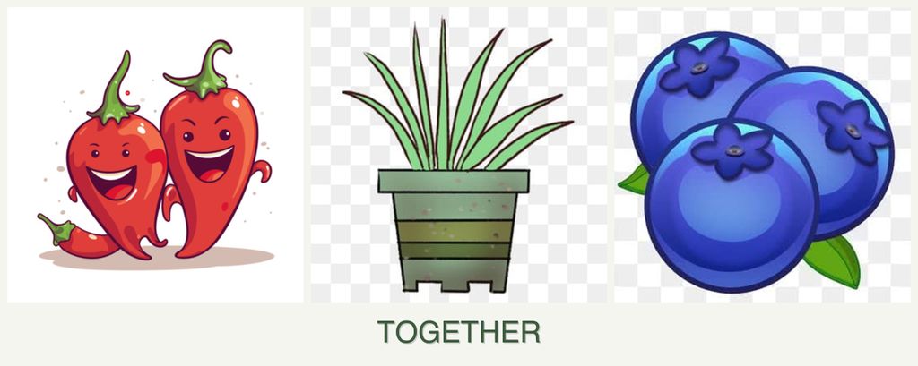 Can you plant peppers, lemongrass and blueberries together?