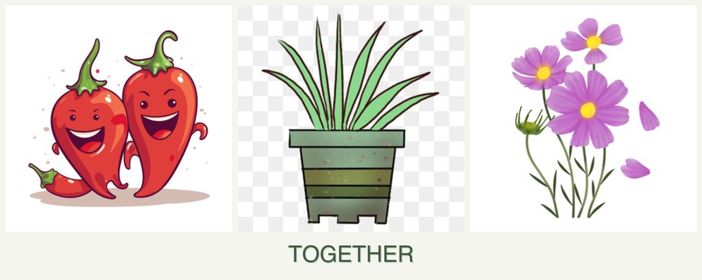 Can you plant peppers, lemongrass and cosmos together?