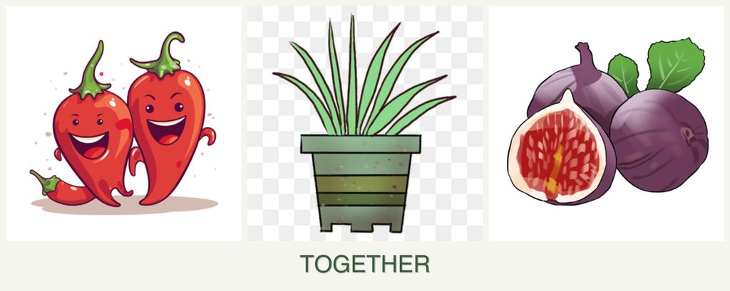 Can you plant peppers, lemongrass and figs together?