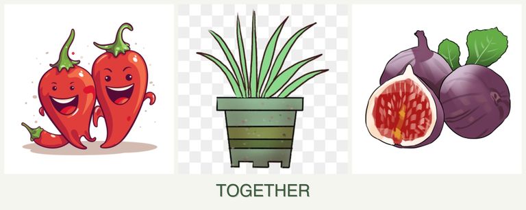 Can you plant peppers, lemongrass and figs together?