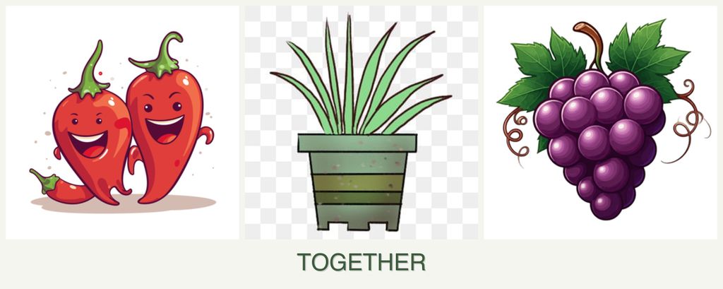 Can you plant peppers, lemongrass and grapes together?