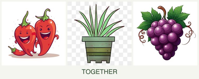 Can you plant peppers, lemongrass and grapes together?