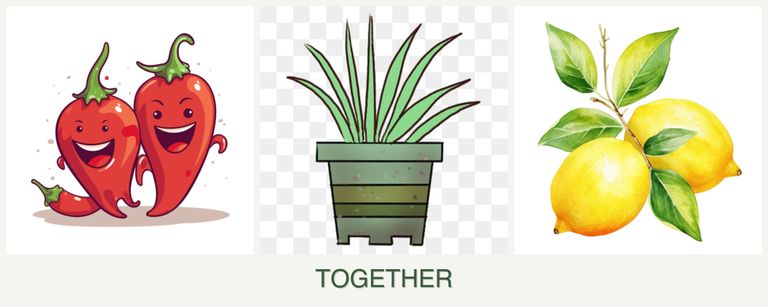 Can you plant peppers, lemongrass and lemons together?