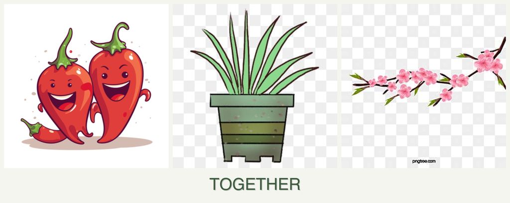 Can you plant peppers, lemongrass and peaches together?