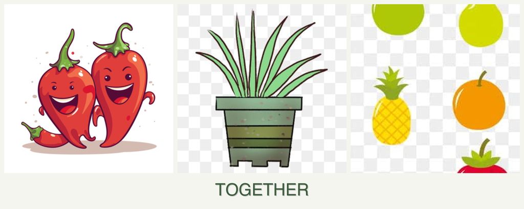 Can you plant peppers, lemongrass and pears together?